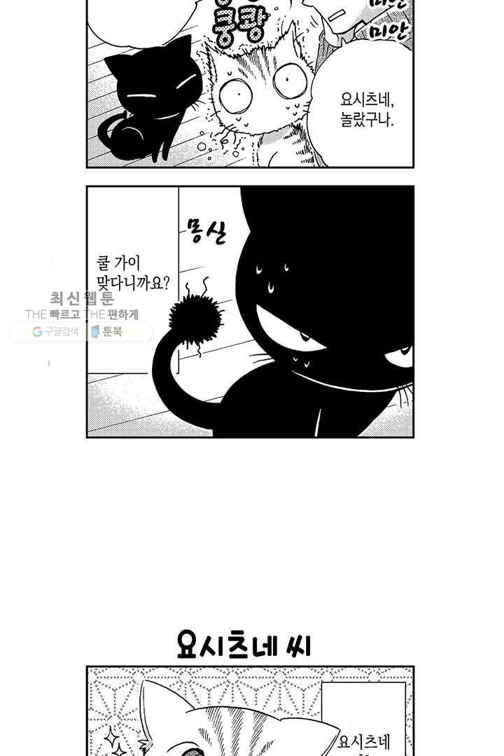 아시야 씨네 고양이 4화 6