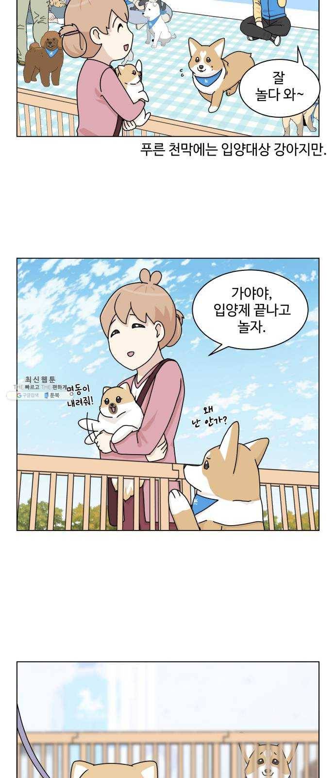 개를 낳았다 시즌2 49화 11