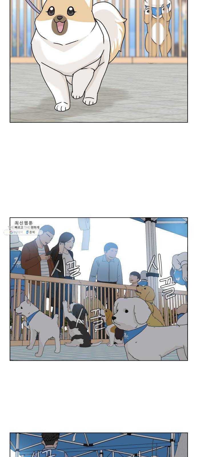 개를 낳았다 시즌2 49화 12