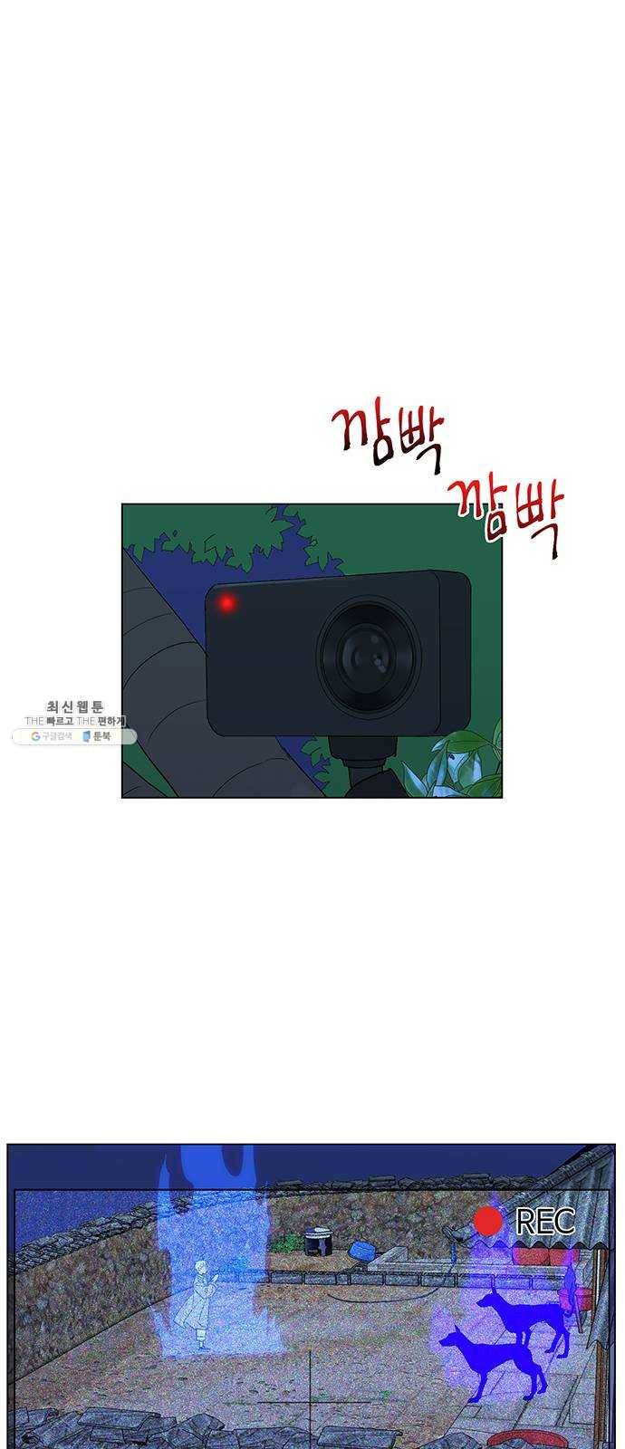 백호랑 52 귀구이야기 5 9