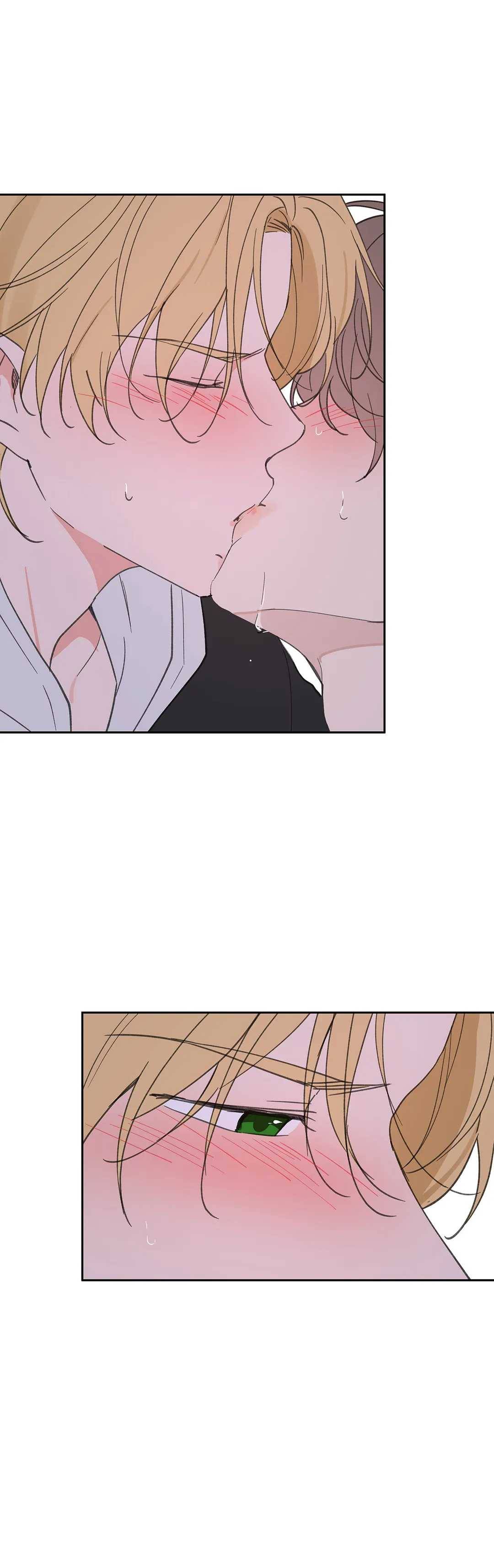 주인의 사정 55화 12