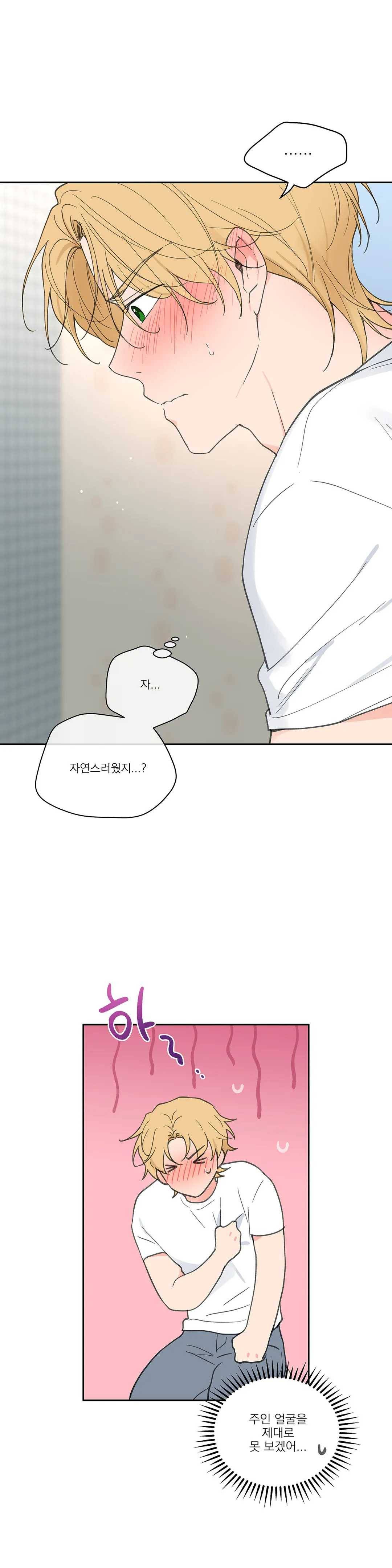 주인의 사정 55화 33
