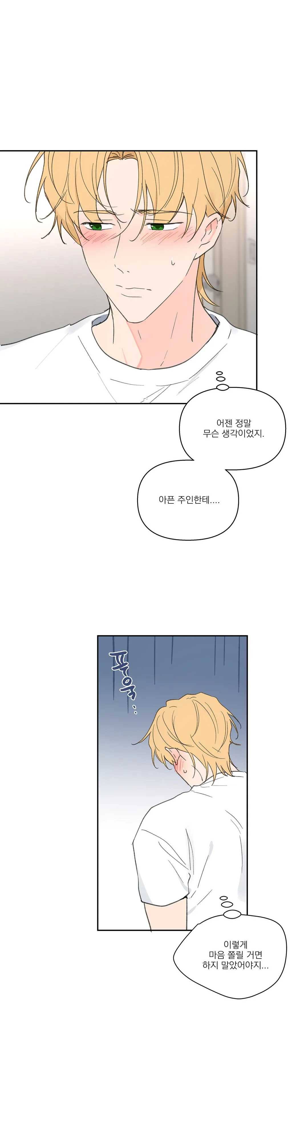 주인의 사정 55화 34
