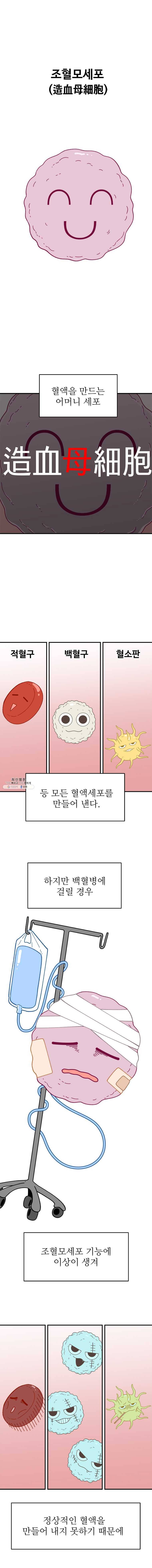 현세이의 보이는 라디오 42화 어머니 (10) 1