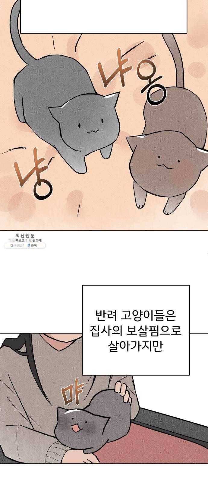 단편.zip 31화 고양이와 아이 - 포도, 곰방 작가 2