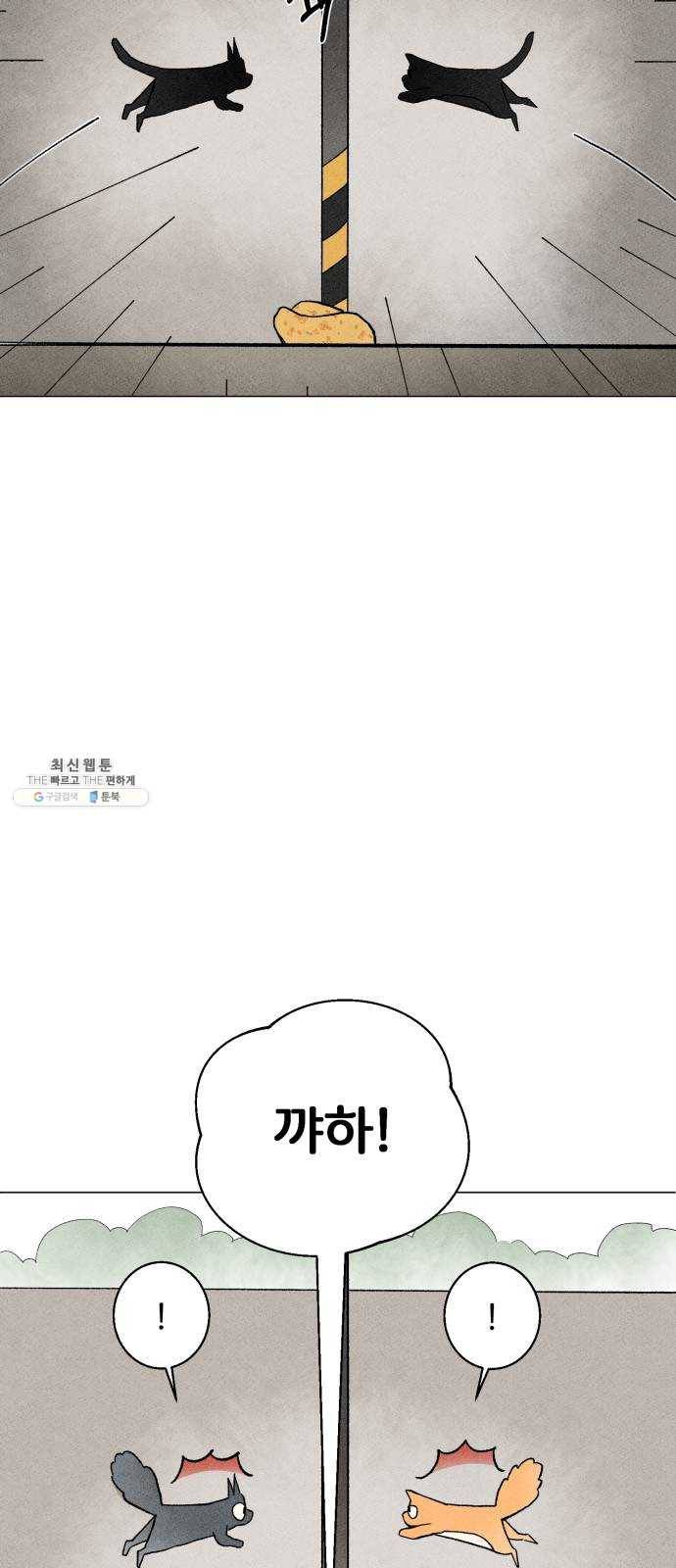 단편.zip 31화 고양이와 아이 - 포도, 곰방 작가 8