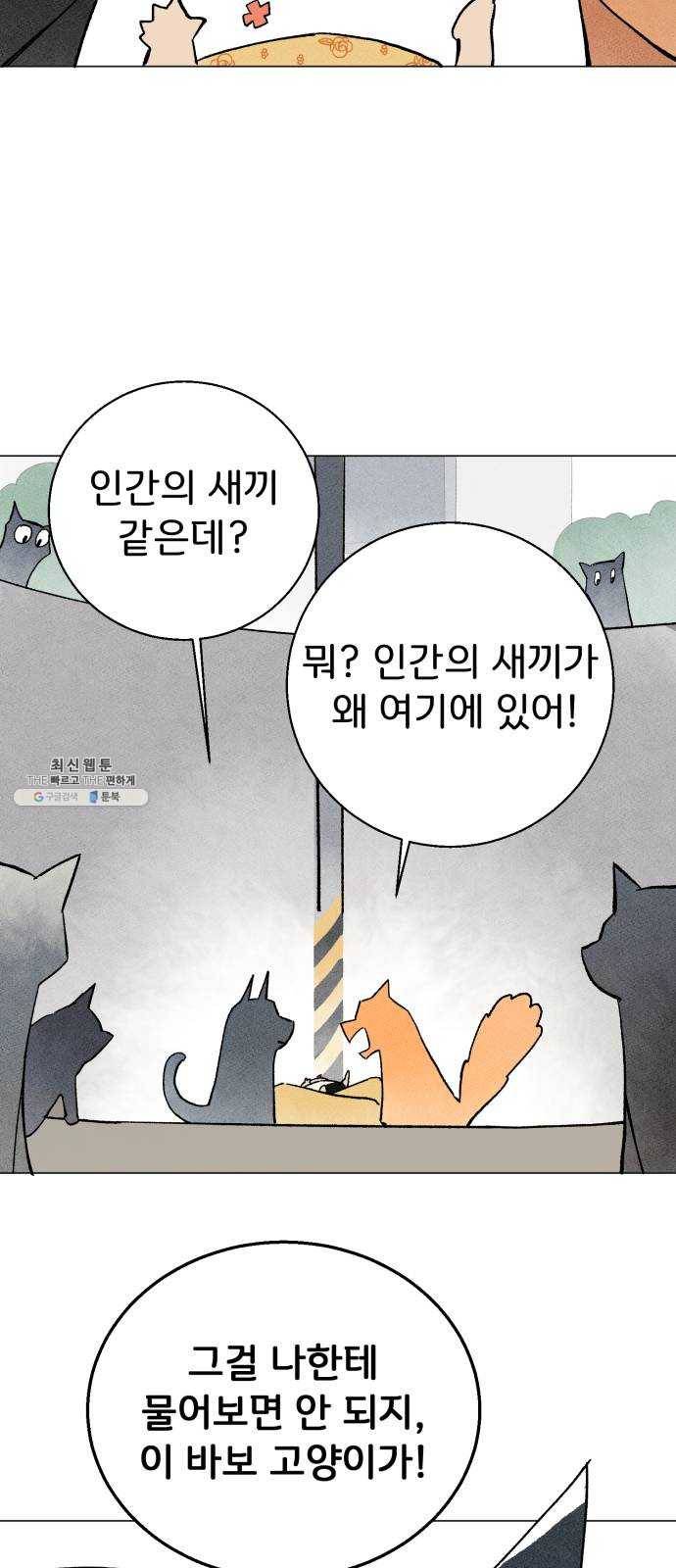 단편.zip 31화 고양이와 아이 - 포도, 곰방 작가 12
