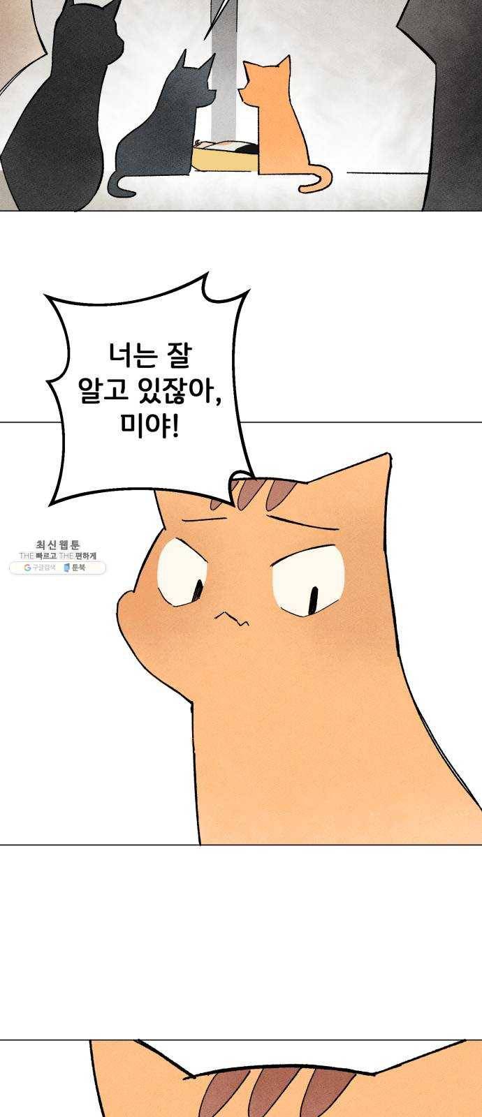 단편.zip 31화 고양이와 아이 - 포도, 곰방 작가 23