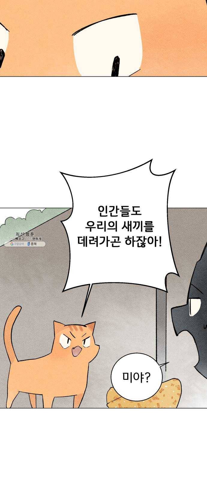 단편.zip 31화 고양이와 아이 - 포도, 곰방 작가 25