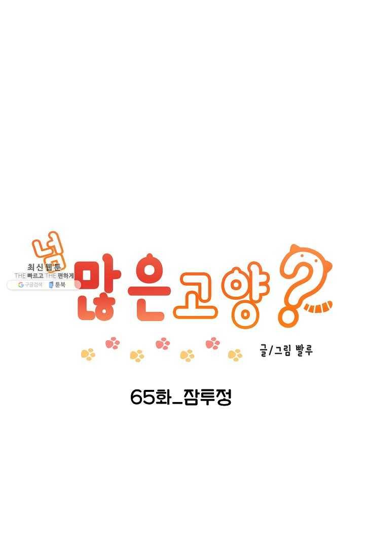 넘 많은 고양! 066화 1