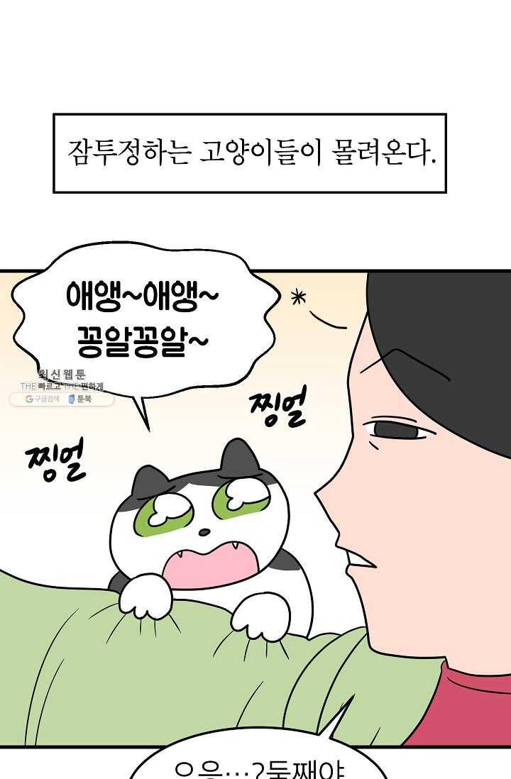 넘 많은 고양! 066화 3