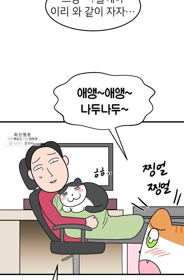 넘 많은 고양! 066화 4