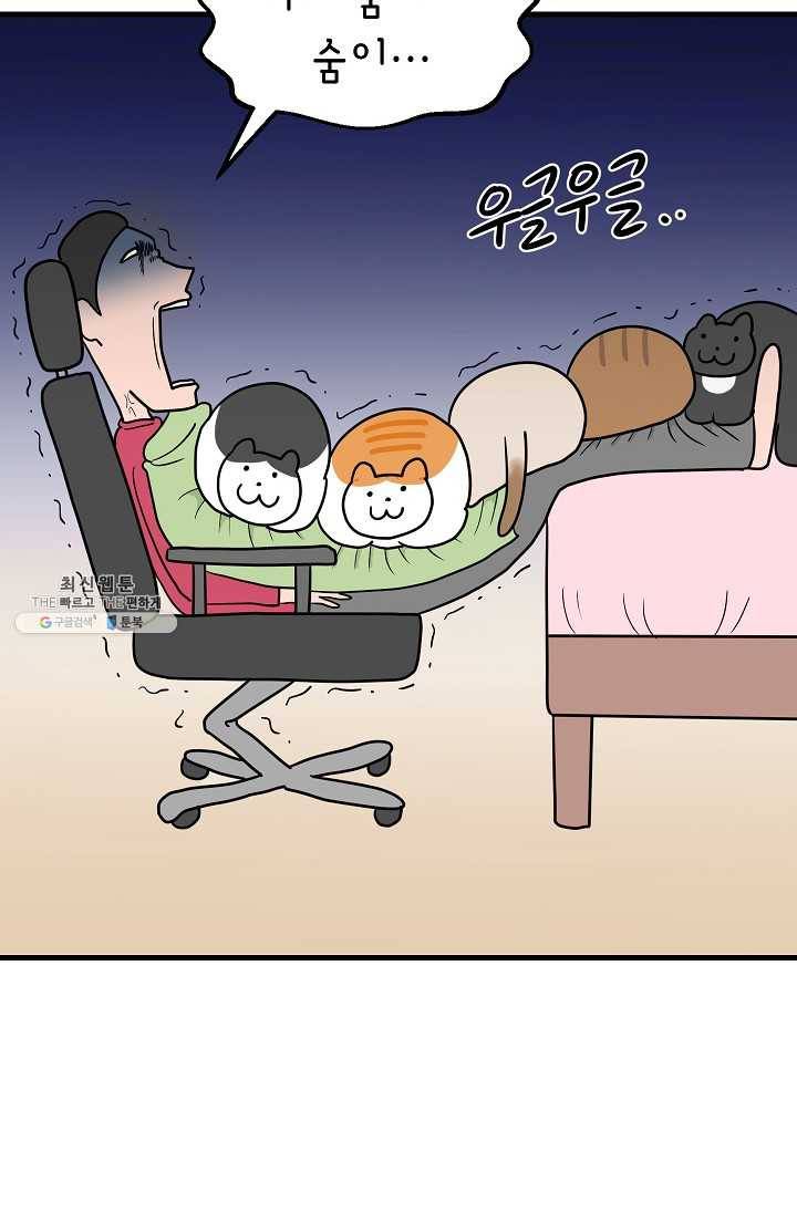 넘 많은 고양! 066화 6