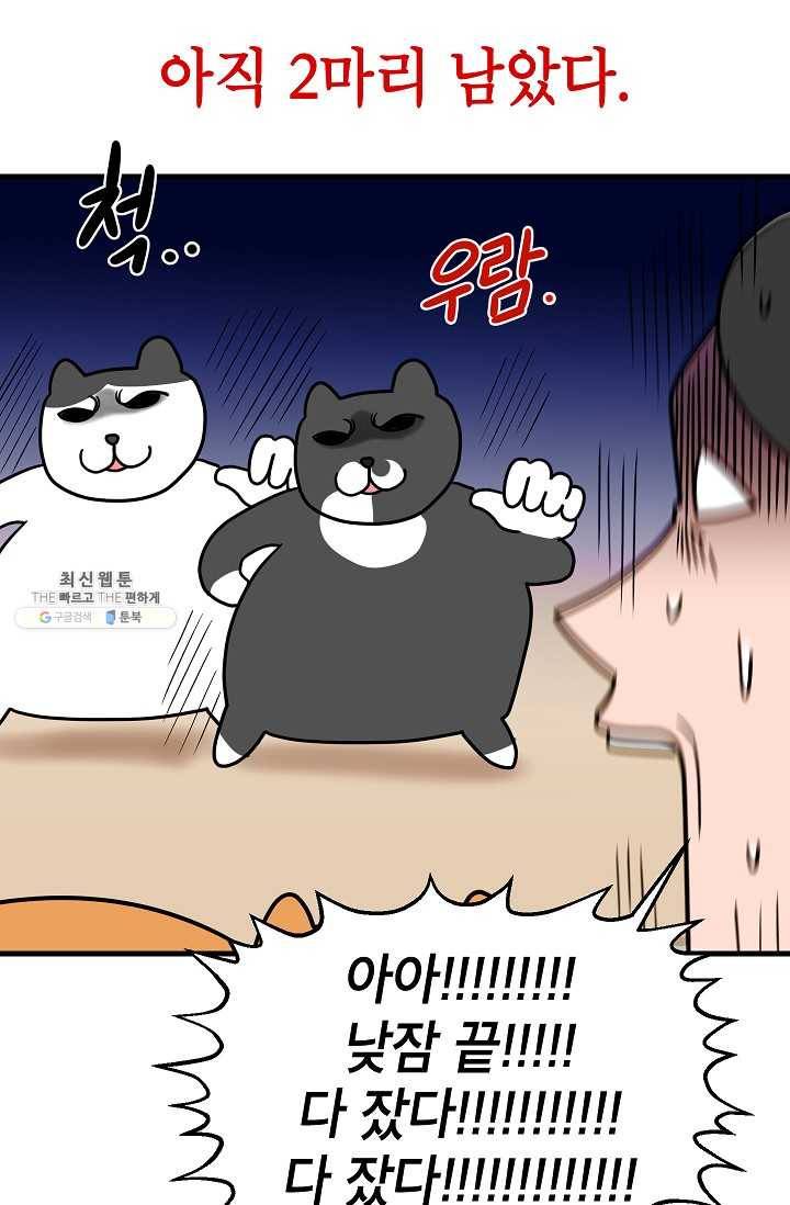 넘 많은 고양! 066화 7
