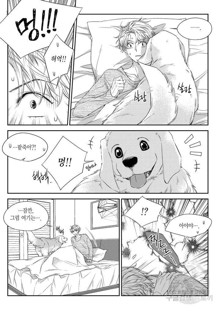 비의도적 연애담[무삭제판] 4권 103