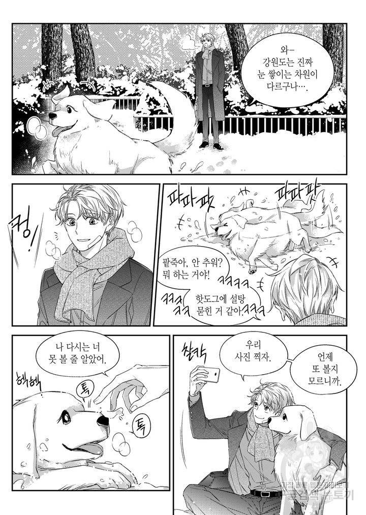 비의도적 연애담[무삭제판] 4권 115