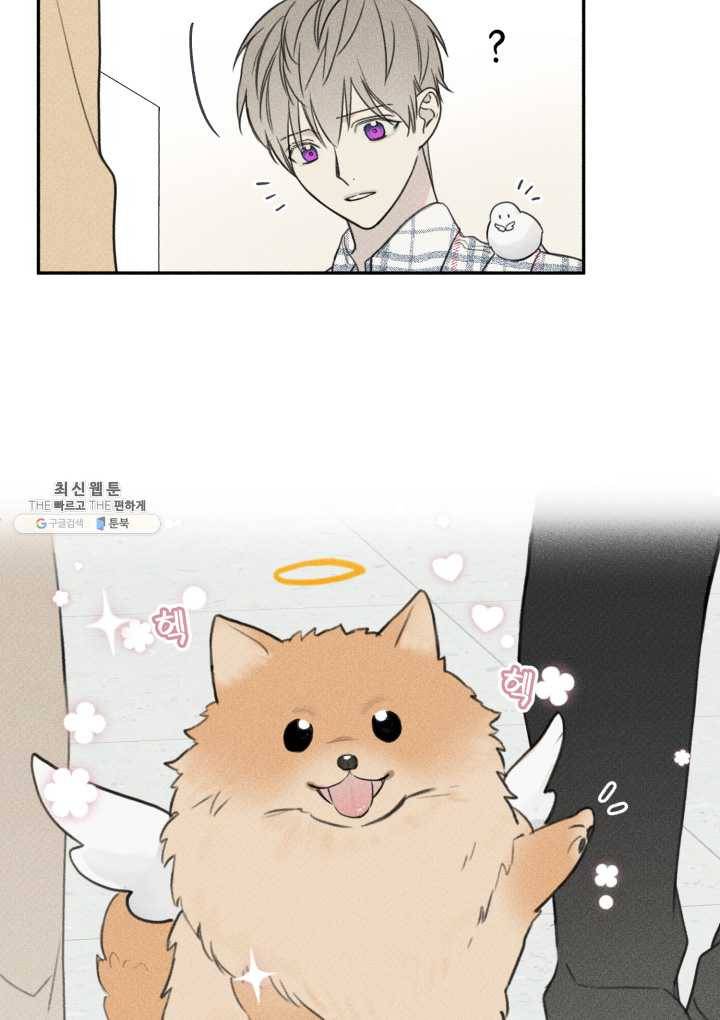 엔젤 버디 63화 5