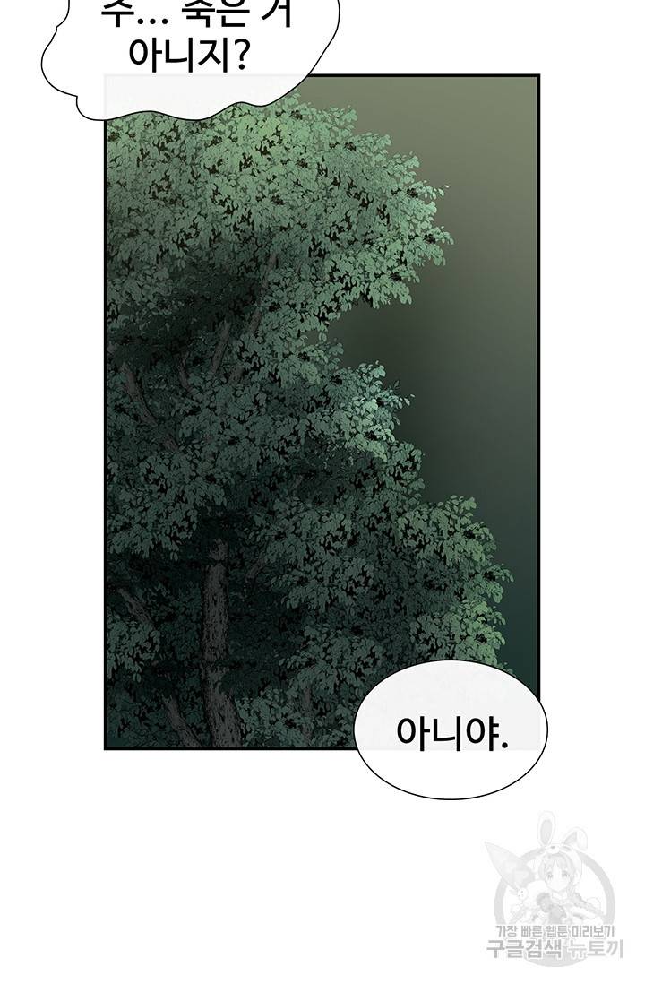 토템의 영역 34화 52