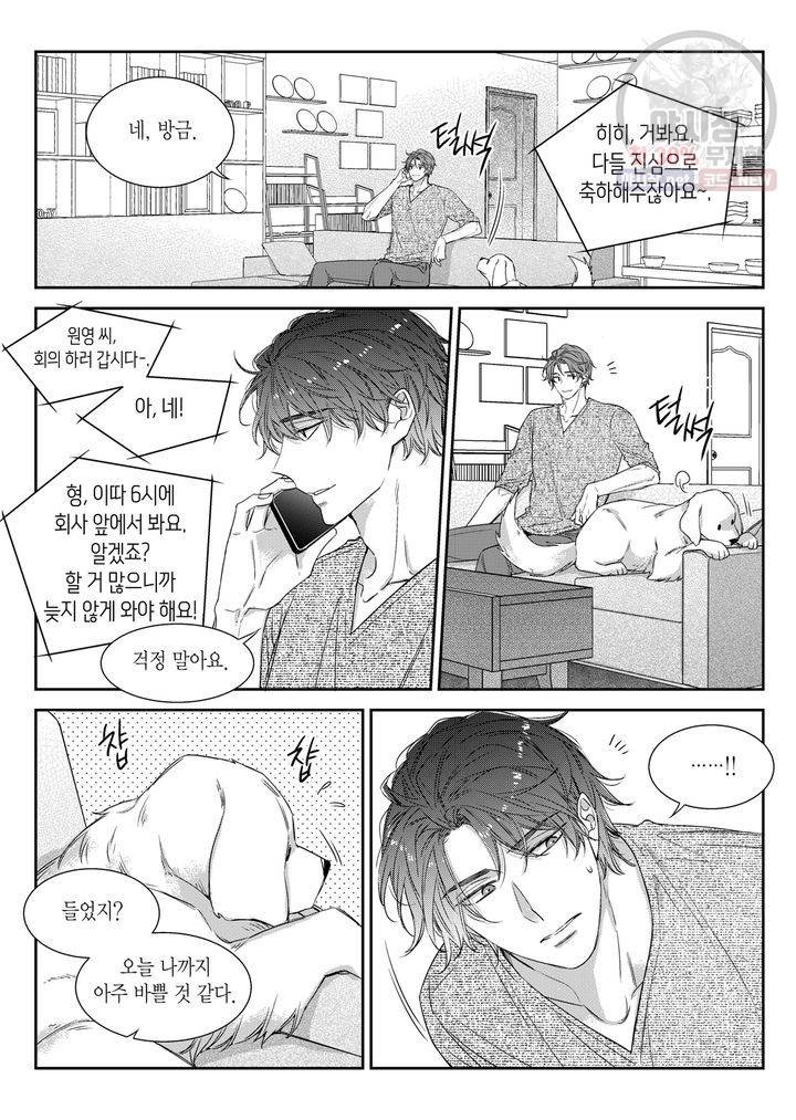 비의도적 연애담 55화 10