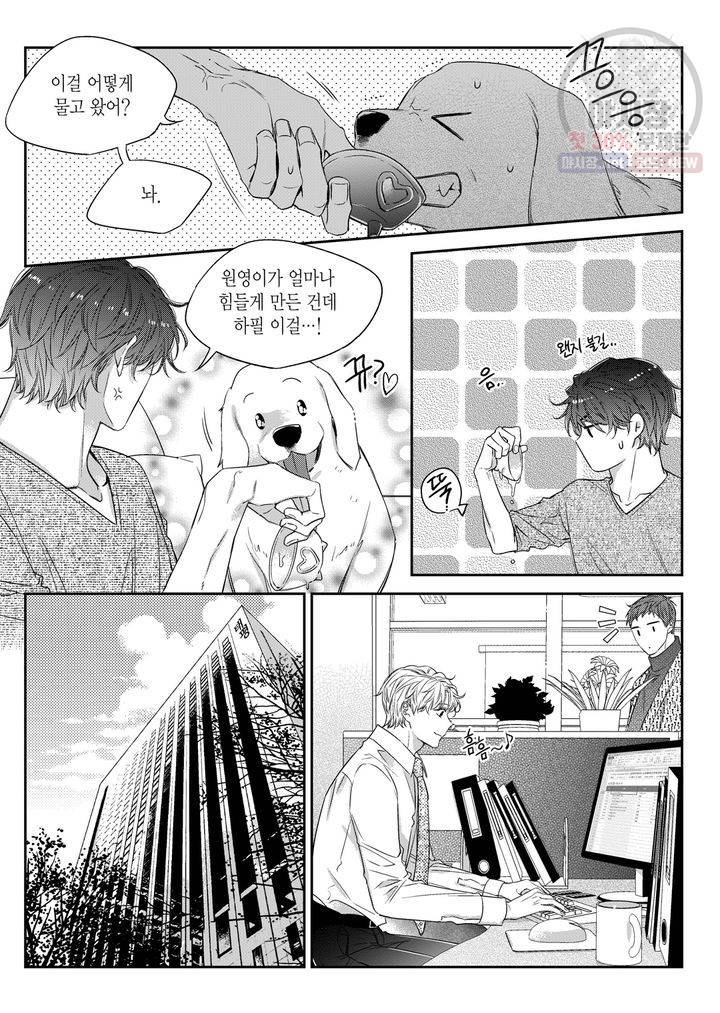 비의도적 연애담 55화 11