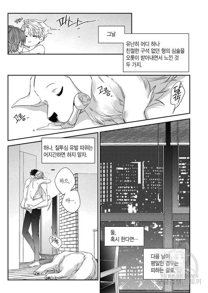 비의도적 연애담[무삭제판] 외전 4화 19