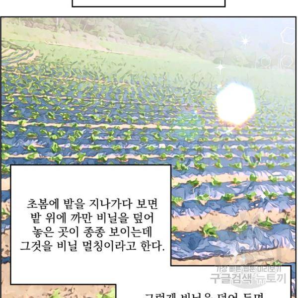 치트라 123화 5