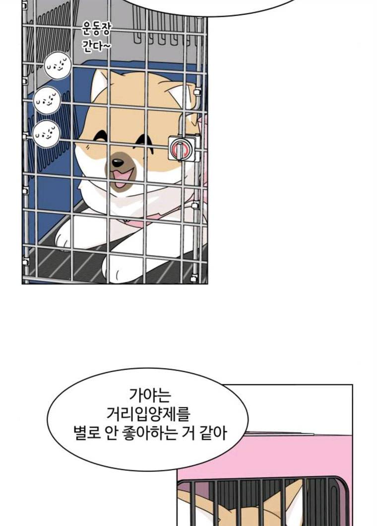 개를 낳았다 시즌2 56화 3