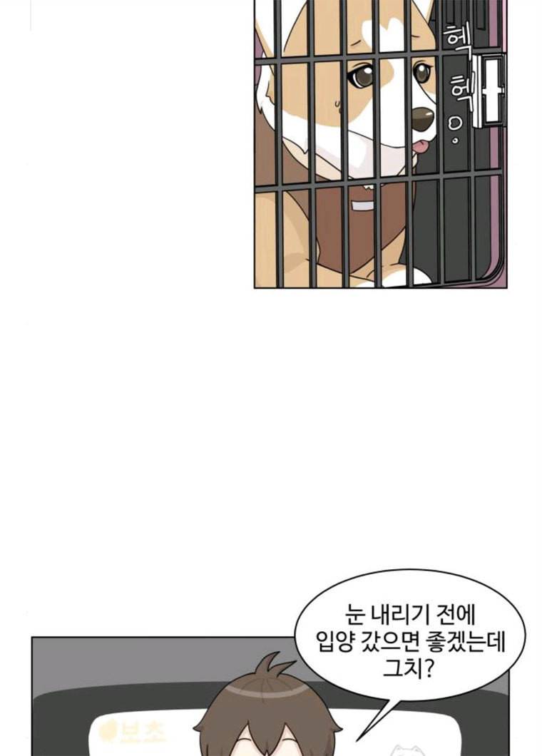 개를 낳았다 시즌2 56화 4