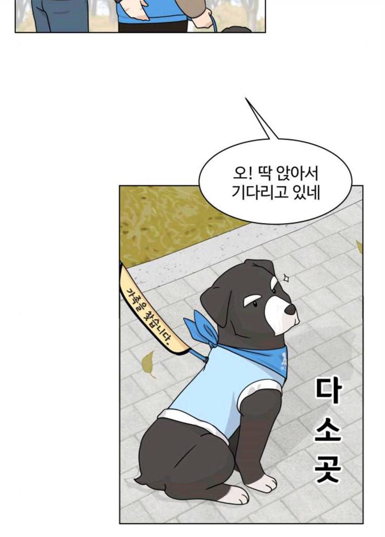 개를 낳았다 시즌2 56화 18