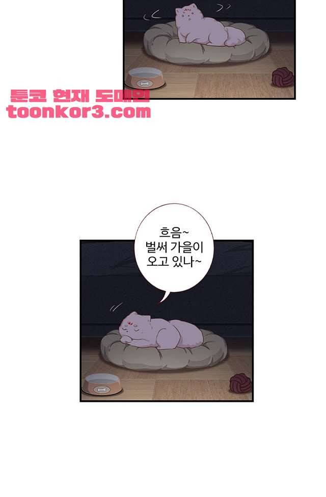 나의 그녀는 구미호 235화 11