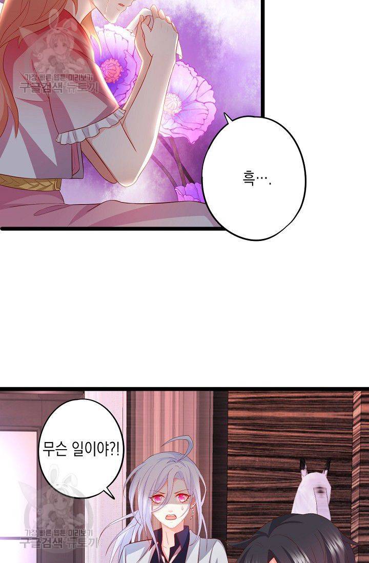 이 조폭은 귀여워 67화 9