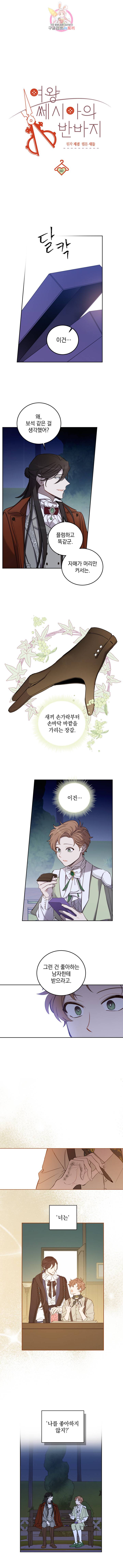 여왕 쎄시아의 반바지 60화 1