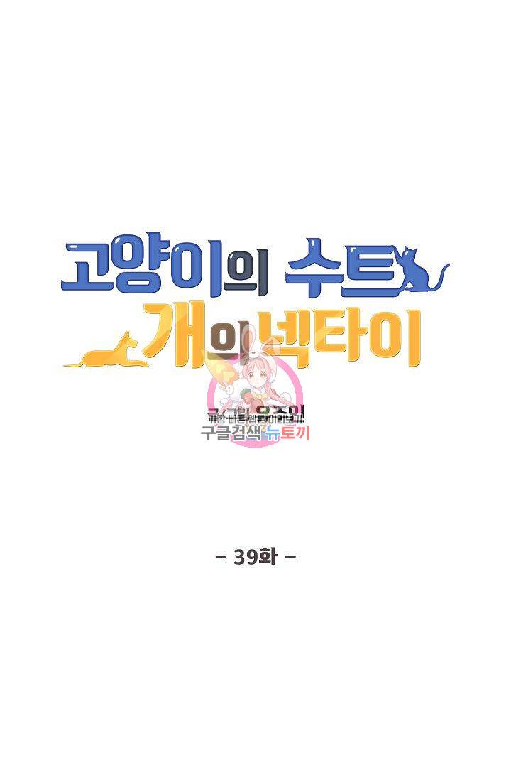 고양이의 수트 개의 넥타이 39화 1