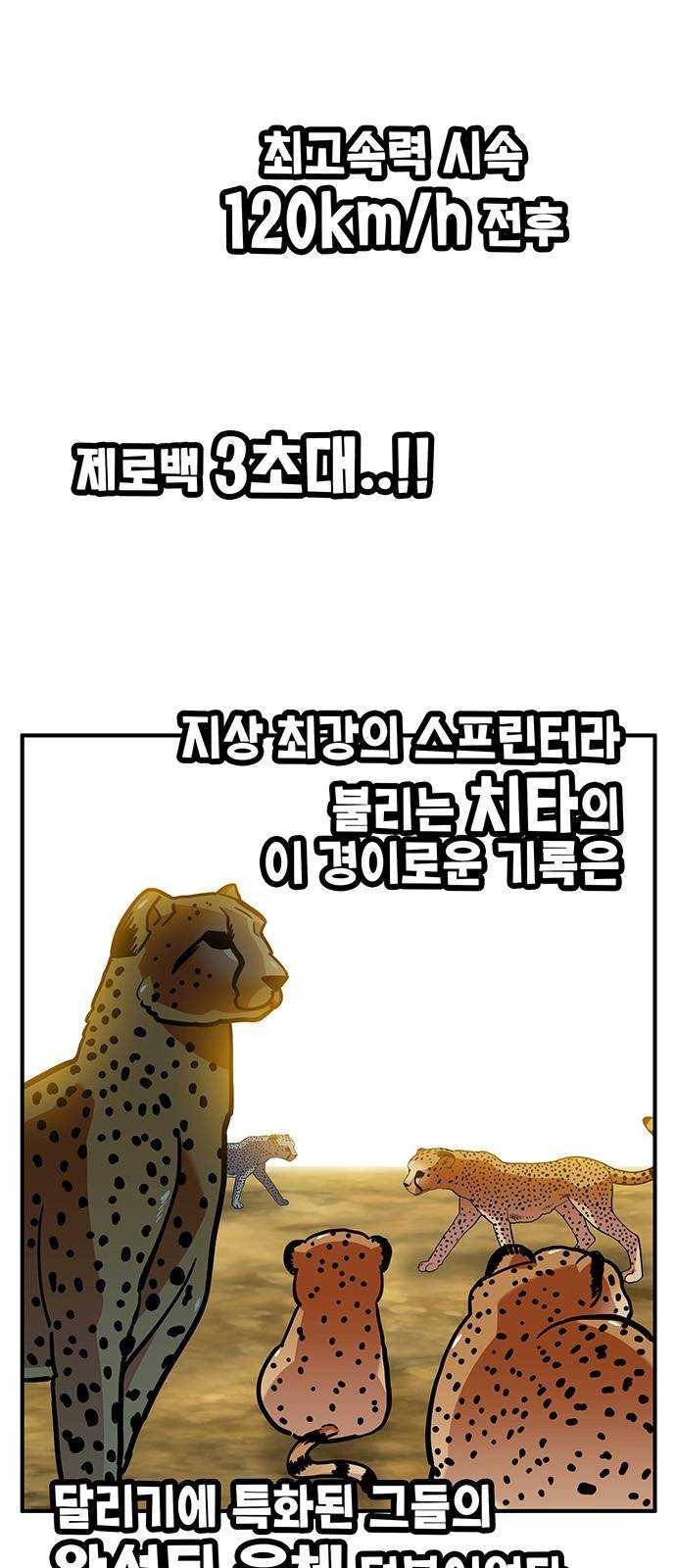 만물의 영장 PART2 20화 VS 치타〈3〉 1