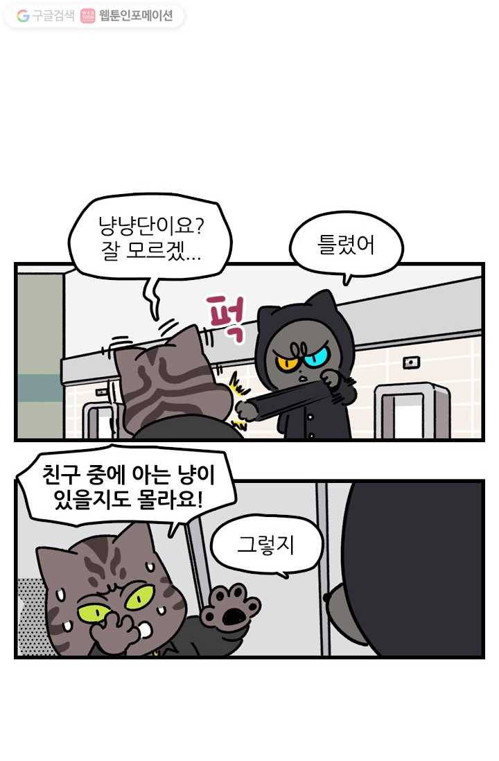 신세개냥 43화 2