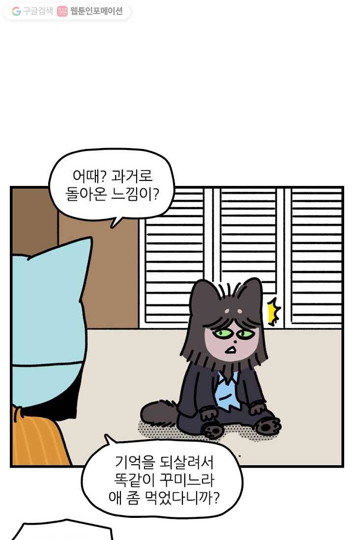 신세개냥 마지막화 2