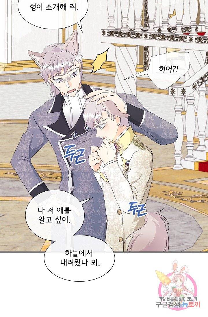 늑대지만 해치지 않아요 11화 13