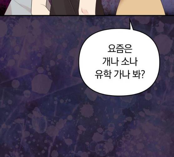 별을 삼킨 너에게 53화 70