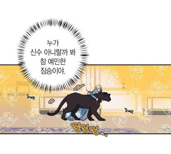 곱게 키웠더니, 짐승 36화 19