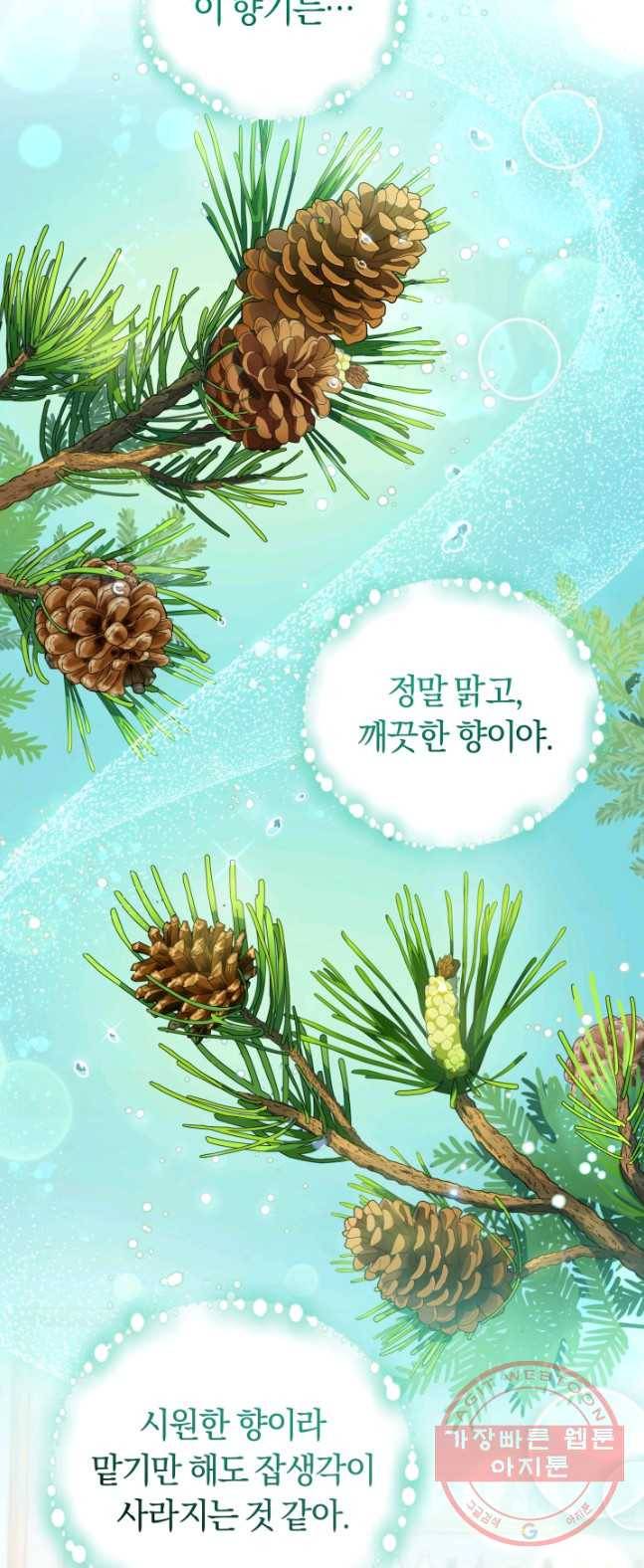 폭군의 유일한 조향사가 되었습니다 14화 43