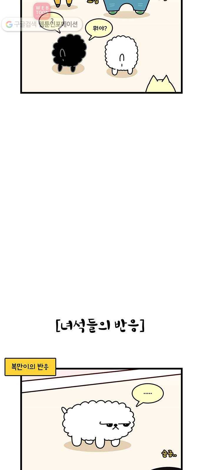 윌유메리미 시즌2 116화 새식구 입양 3