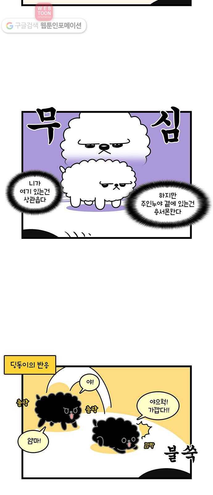 윌유메리미 시즌2 116화 새식구 입양 4