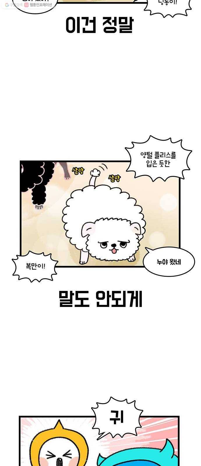 윌유메리미 시즌2 439화 딩동 복만 미용 디자인 4 3