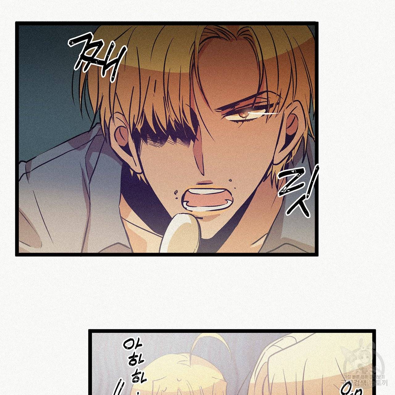 황제의 약혼녀로 산다는 것은 56화 16