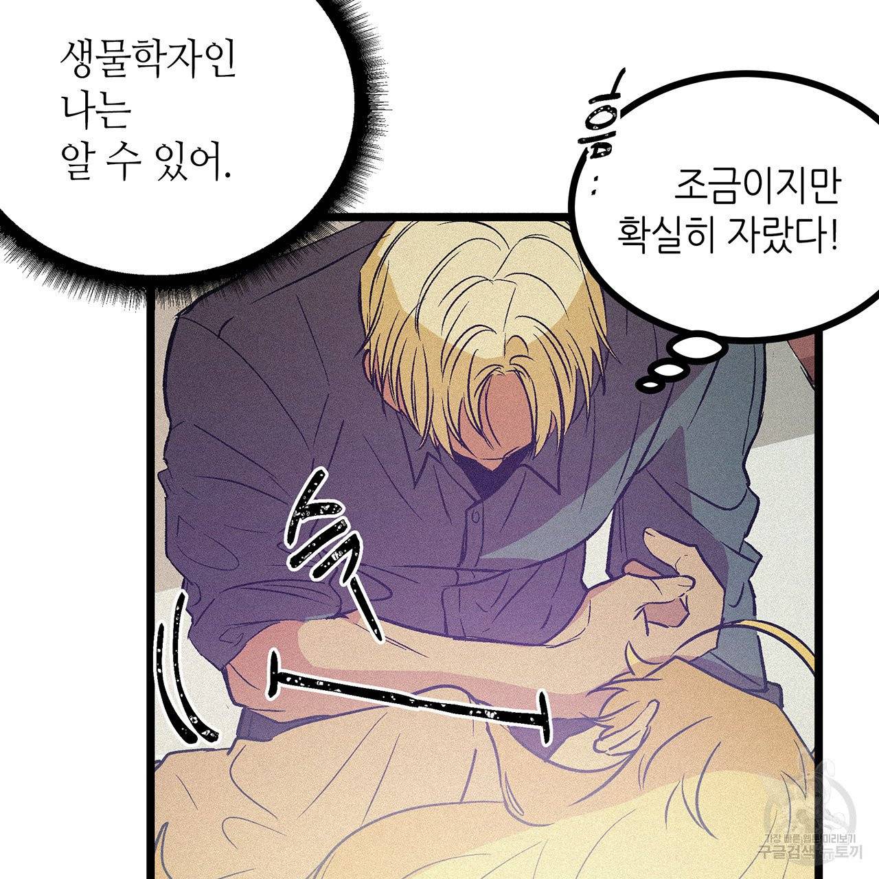 황제의 약혼녀로 산다는 것은 56화 74