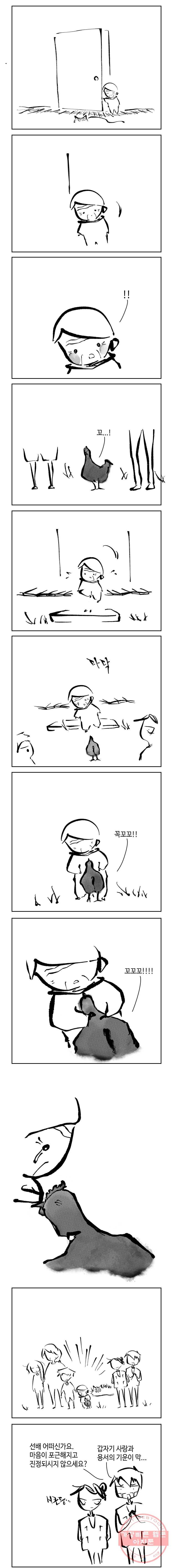 닭은 의외로 위대하다 6.마지막 인사 2 3