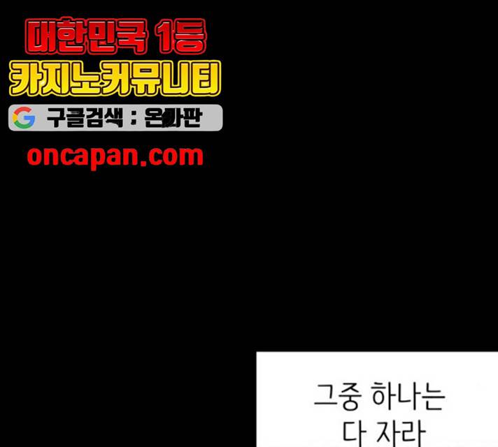 피와 나비 56화 13