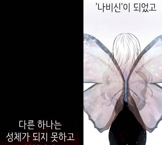 피와 나비 56화 14
