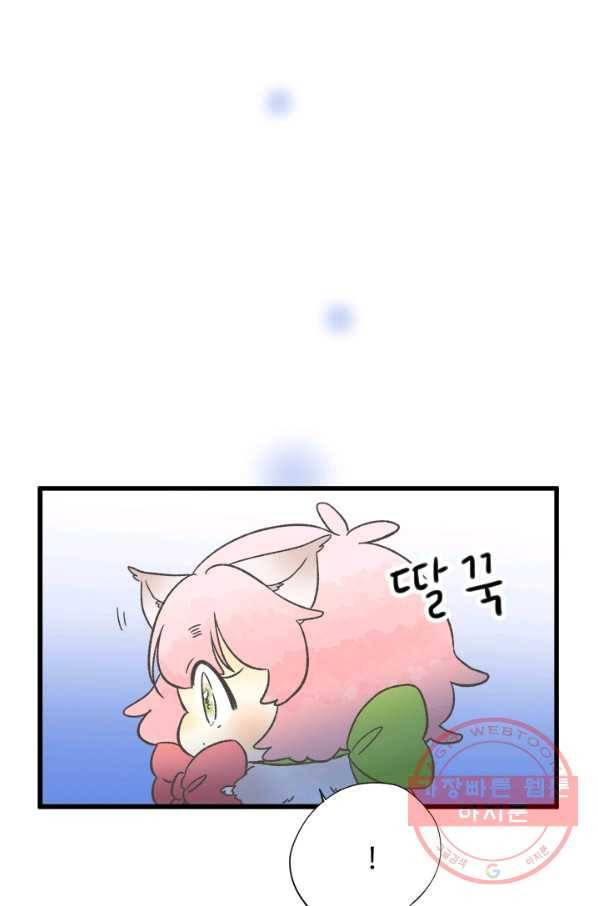 모나와 쿠쿠 48화, 쿠쿠의 의 12