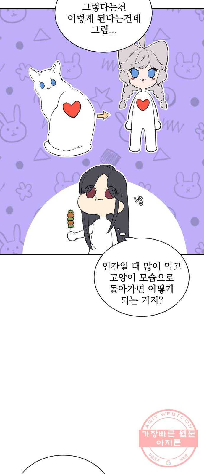 전설의 화석 11화 20